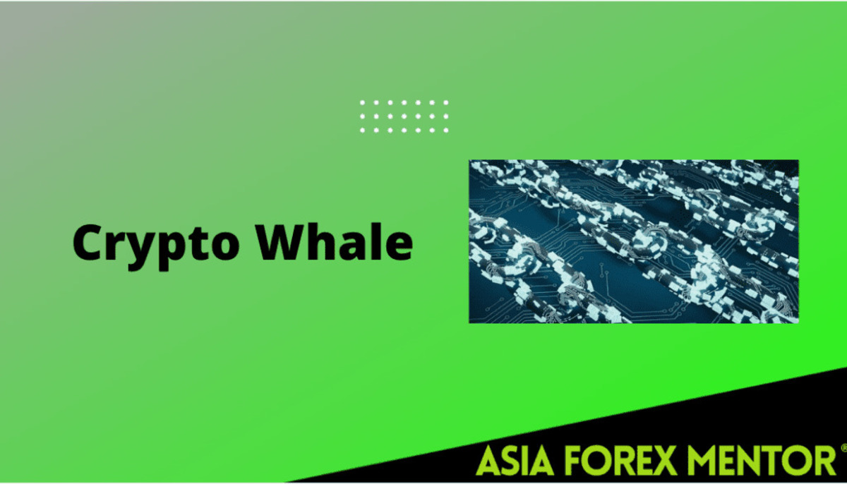 Ảnh hưởng của các whale đến thị trường tiền ảo 1